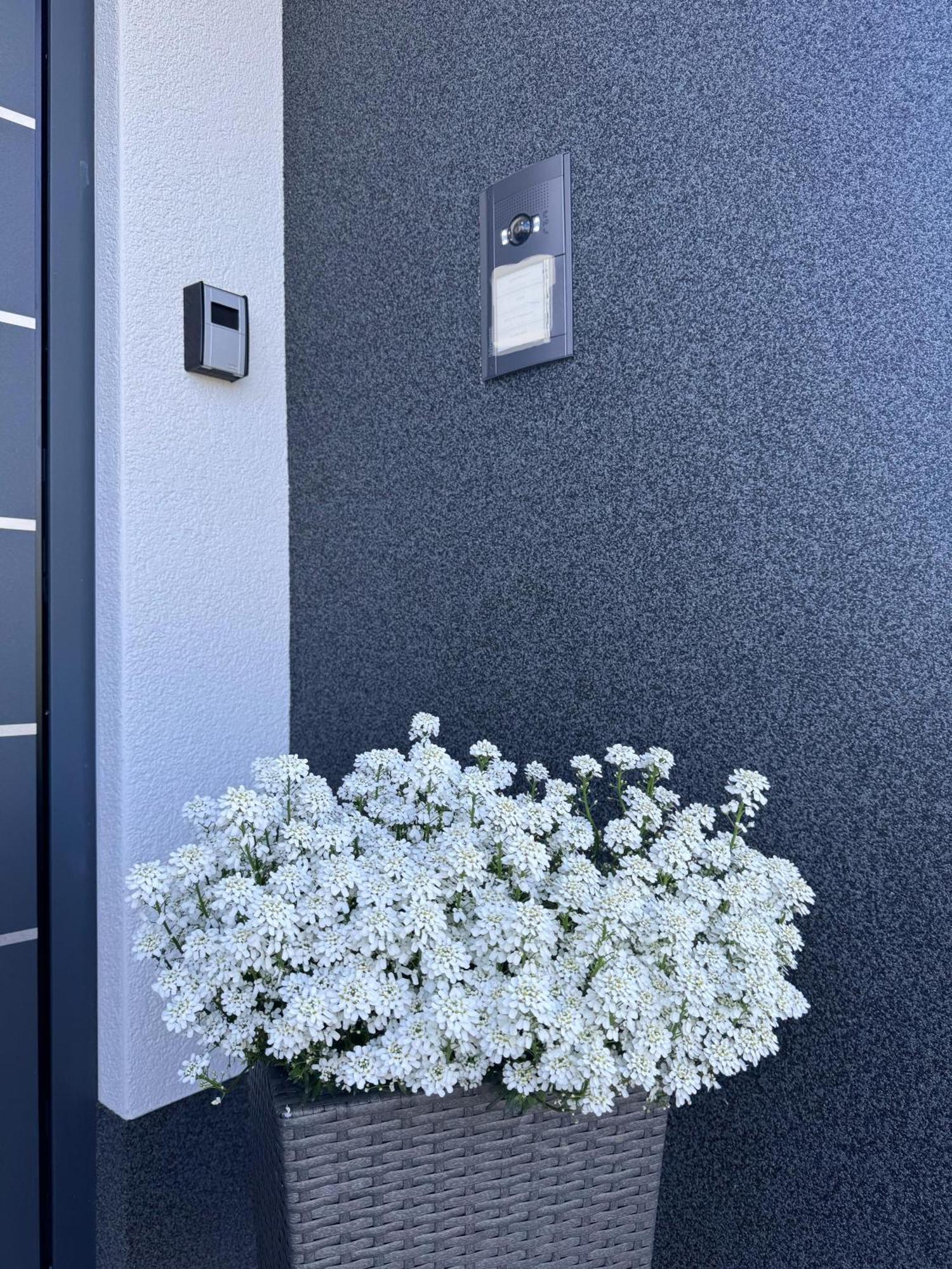 Dariana Schwalbach/saar Apartment